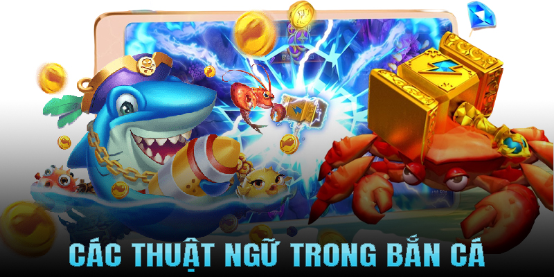 Các thuật ngữ trong bắn cá