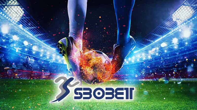 Những Điều Thú Vị Mà Bạn Chưa Biết Tại SBOBET 99ok